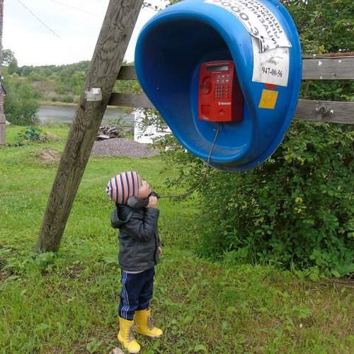Photo #1931195