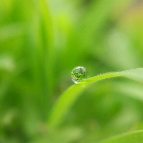 droplet
