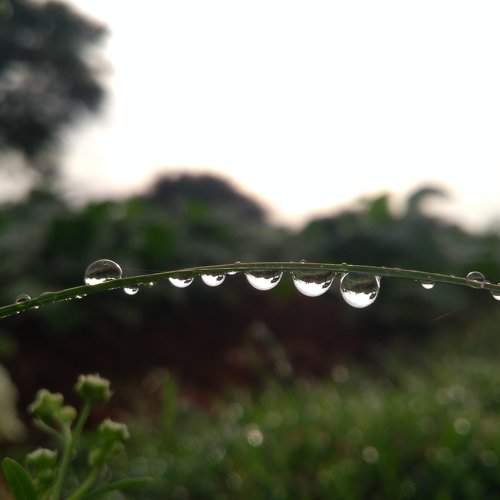 Water droplets