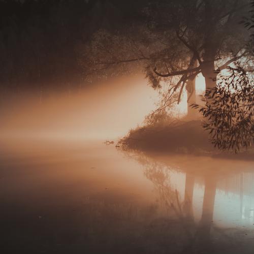 Photo #1933343