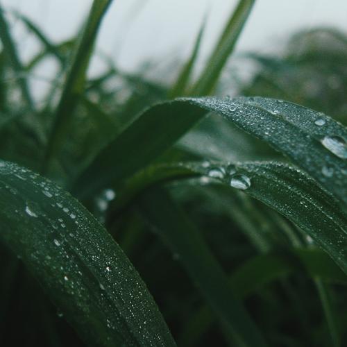 Photo #1933600