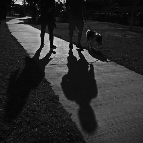 Walking the Dog