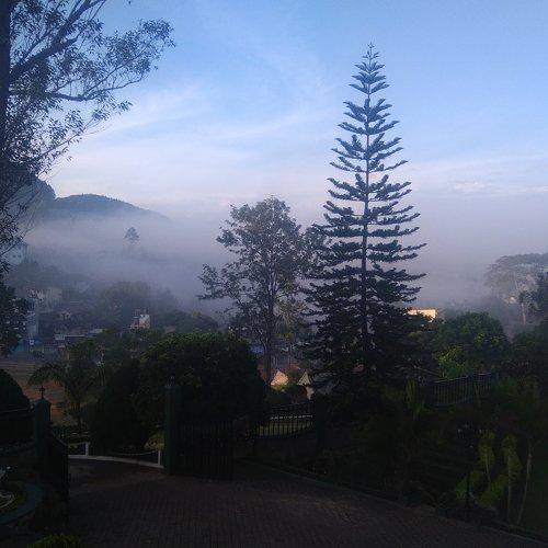 through mist