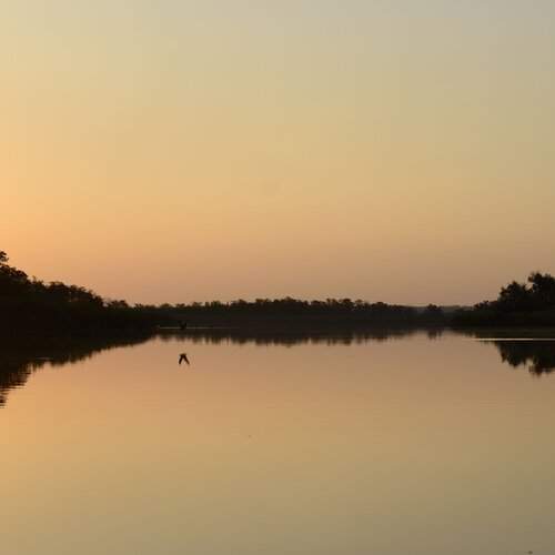 Photo #1935204