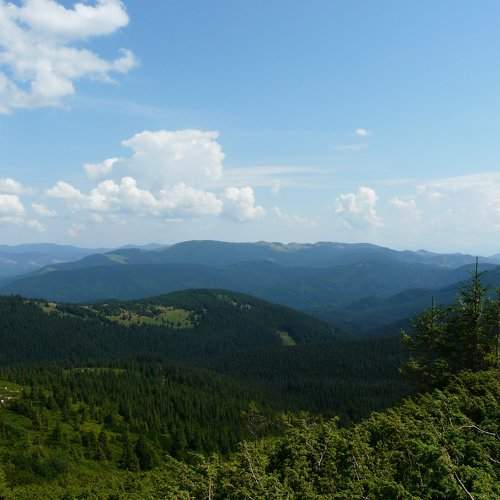 Photo #1935252