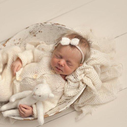 Photo #1935310