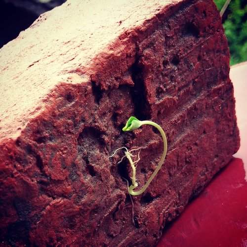 The power of nature