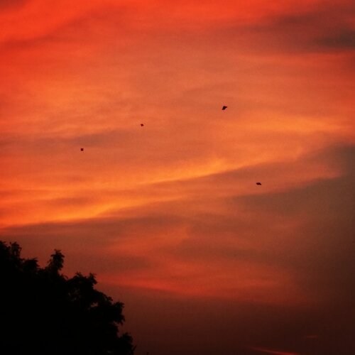 Beautiful nature