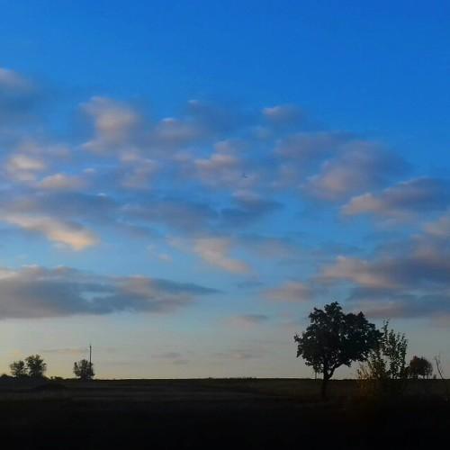 Photo #1935814