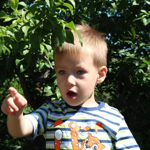 Photo #1936067