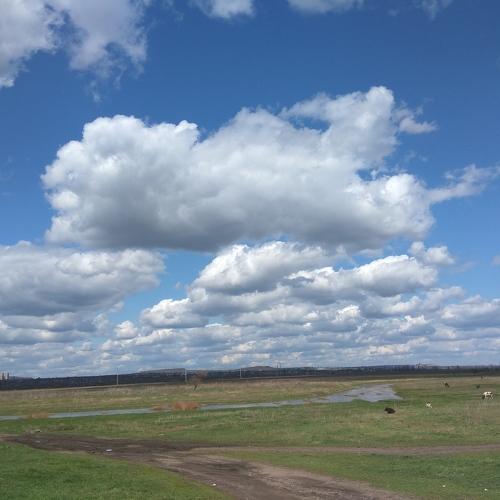 Photo #1936714
