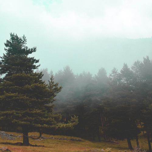 Photo #1937091
