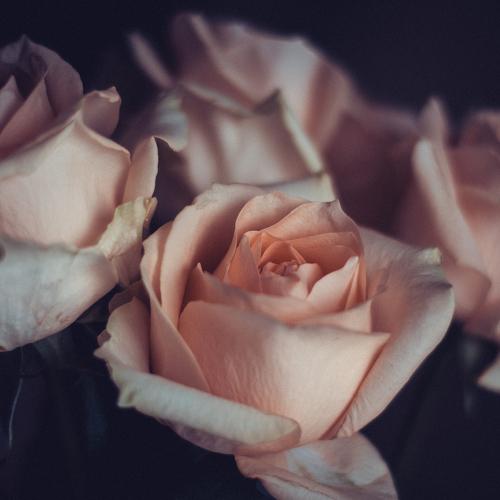 Photo #1937278