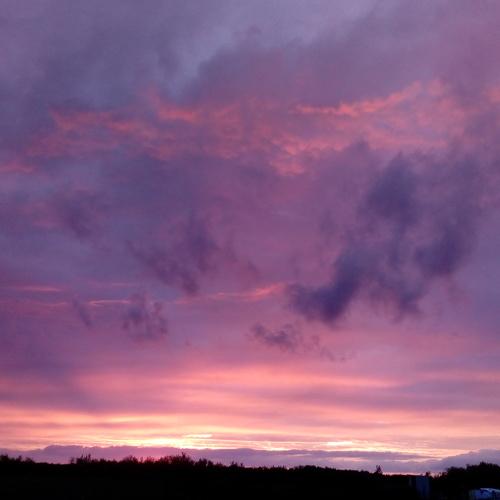 Photo #1938637