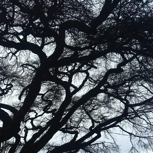 natures art