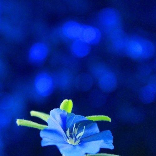 Photo #1942138