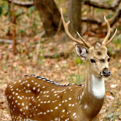 Photo #1943118