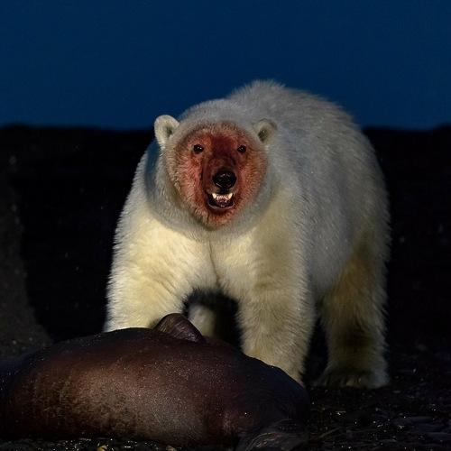 Поздний ужин