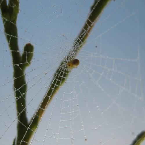 Photo #1943464