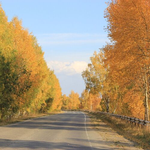 осень...
