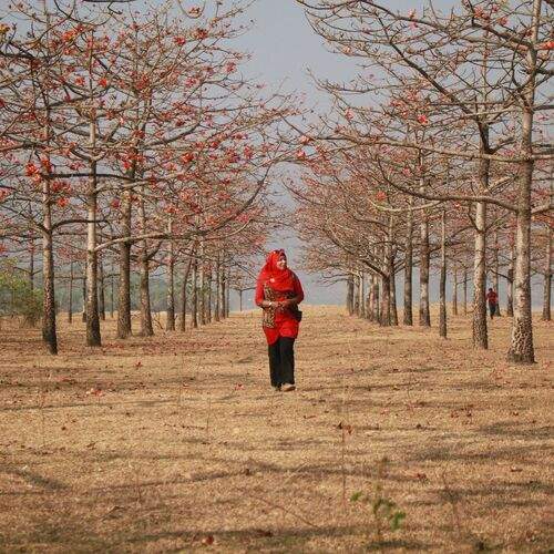 Red Desire
