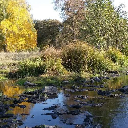 Красота родного края