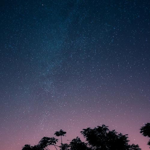 Gradient of a Dark