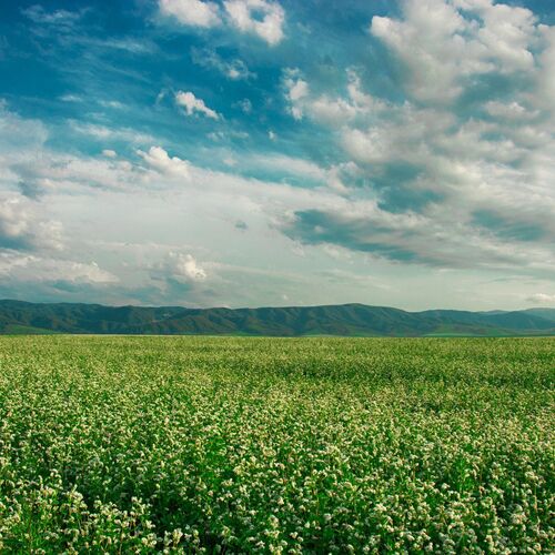 Предгорье