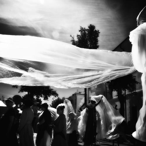 Photo #1946784