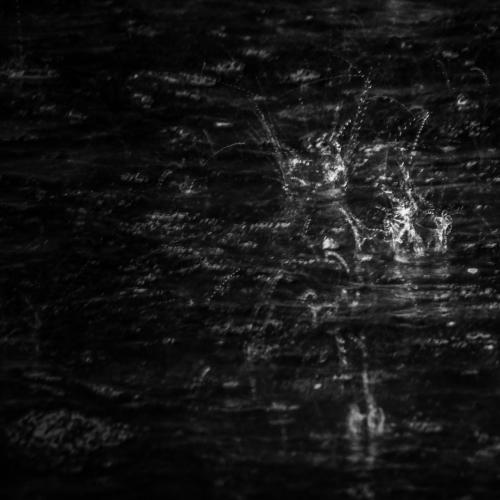 Photo #1947413