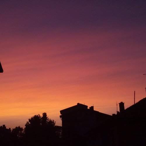 Photo #1948532