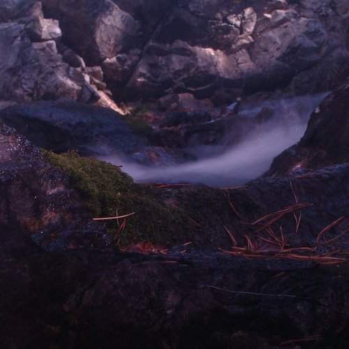 Photo #1949437