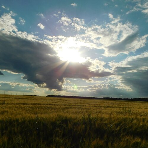 Photo #1949502