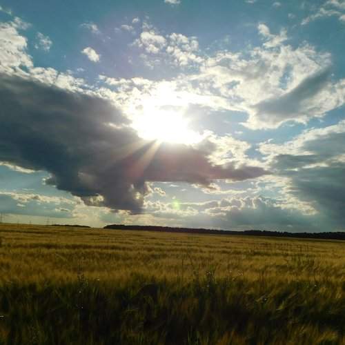Photo #1949512
