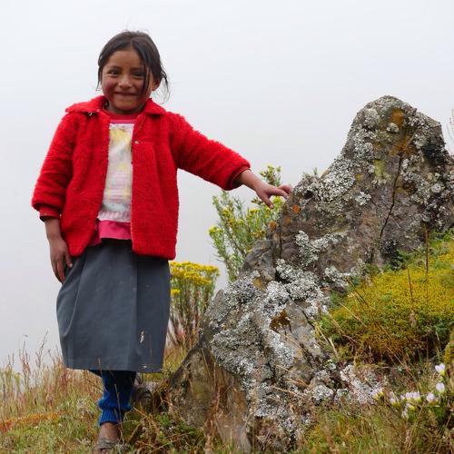 Cultivadora de Papa