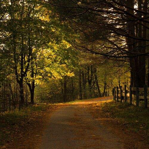 Photo #1953014