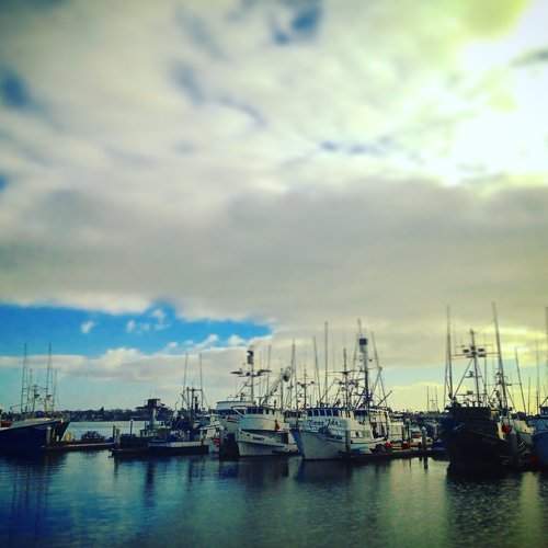 Coronado quayside