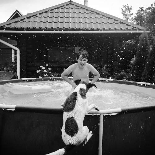 Photo #1955276