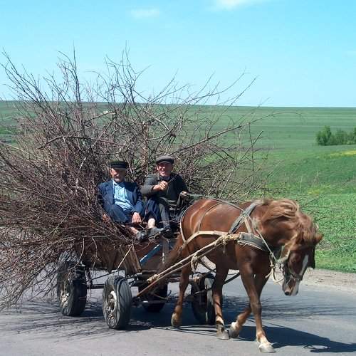 Мы за экологию!