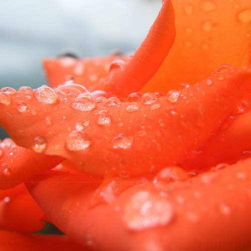 Photo #1956299