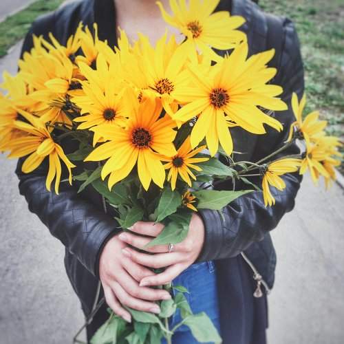 Photo #1956555