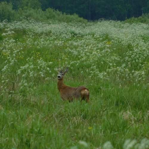 Photo #1956759