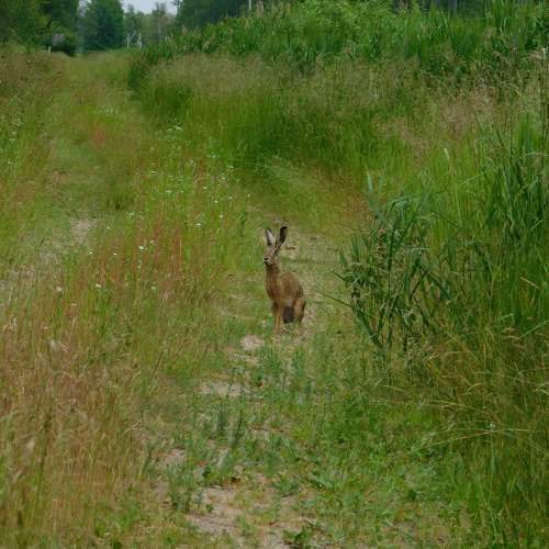 Photo #1956767