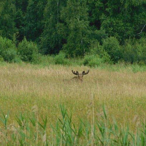 Photo #1956777