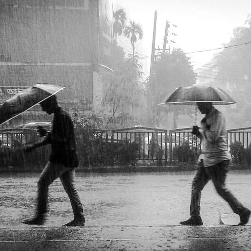 The Monsoon Harmony