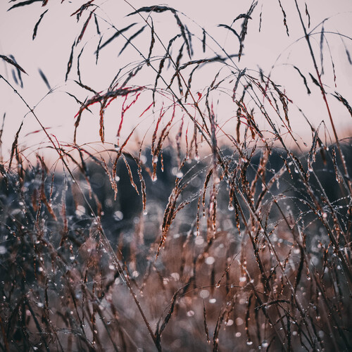 Photo #1957817