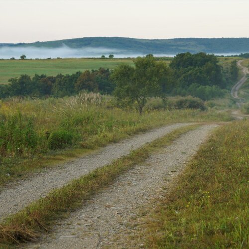 Дорога в село.