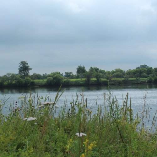 Photo #1958911