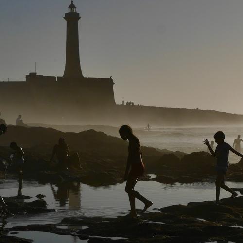 Ask the Sea Fog