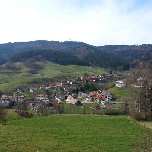 Photo #1959917